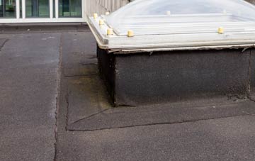 disadvantages of Milborne St Andrew flat roofs