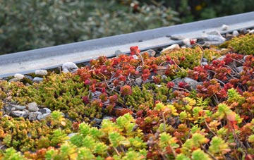 the cost of Milborne St Andrew green roof installation