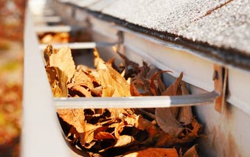 Milborne St Andrew gutter cleaning companies