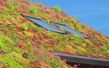 Milborne St Andrew living roof systems