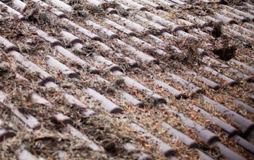 Milborne St Andrew roof cleaning companies