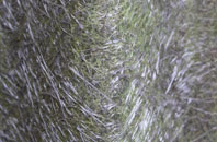 Milborne St Andrew fibreglass roof work